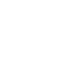 PlaceSchema